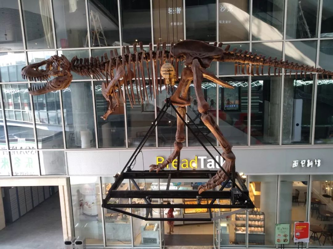 成都339最新消息,成都339进度