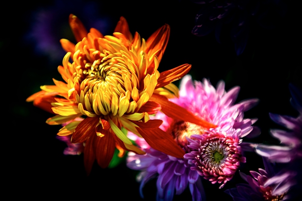 跟着镜头品诗词,跟着镜头感受生活中的美好