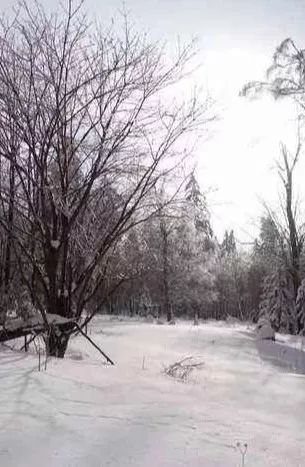 这是一场冰雪世界与海上花园的相遇,期待与你碰撞出不一样的火花~