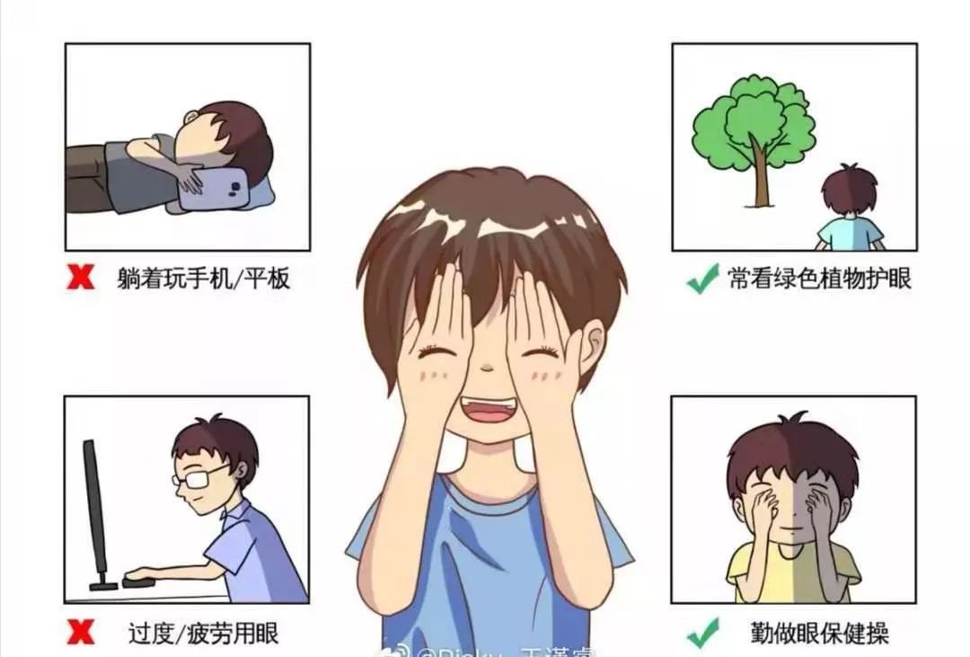 赴澳洲游学需注意事项,澳洲游学需要注意什么