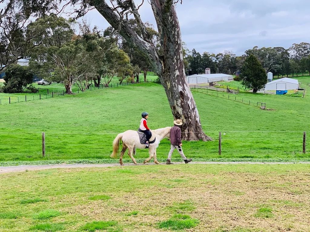 赴澳洲游学需注意事项,澳洲游学需要注意什么