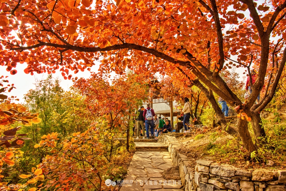 坡峰岭乡村大集,坡峰岭附近赶集