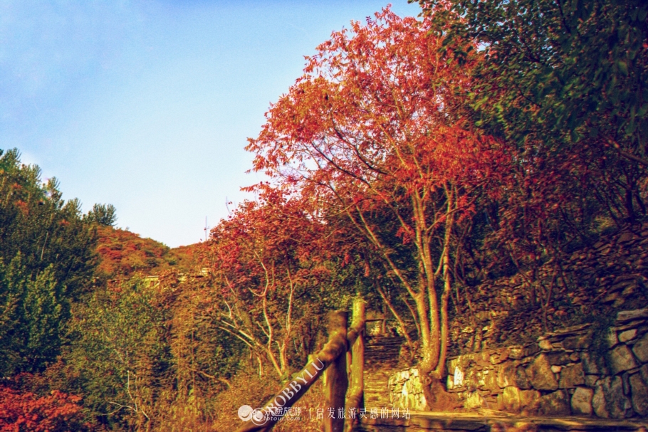 坡峰岭乡村大集,坡峰岭附近赶集