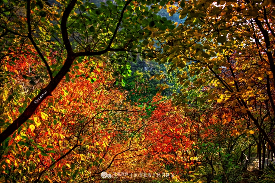 坡峰岭乡村大集,坡峰岭附近赶集
