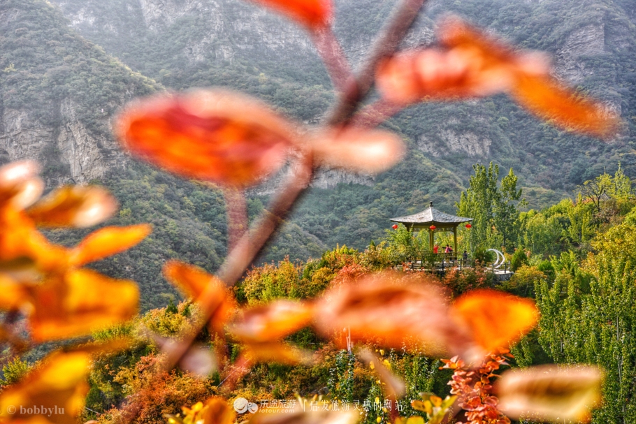 坡峰岭乡村大集,坡峰岭附近赶集