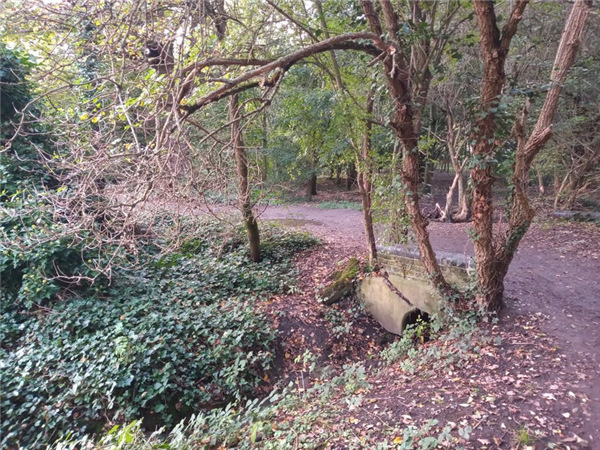 摩托罗拉e6plus,摩托罗拉motoe6plus真机图曝光