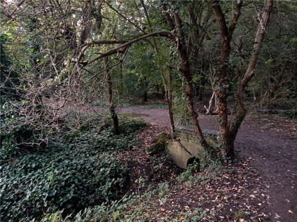 摩托罗拉e6plus,摩托罗拉motoe6plus真机图曝光