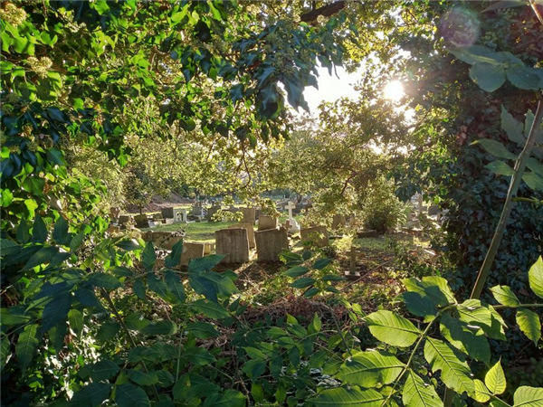 摩托罗拉e6plus,摩托罗拉motoe6plus真机图曝光