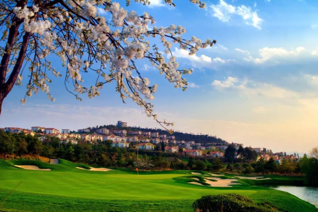 阜阳特价飞机票价格,阜阳飞全国特价机票