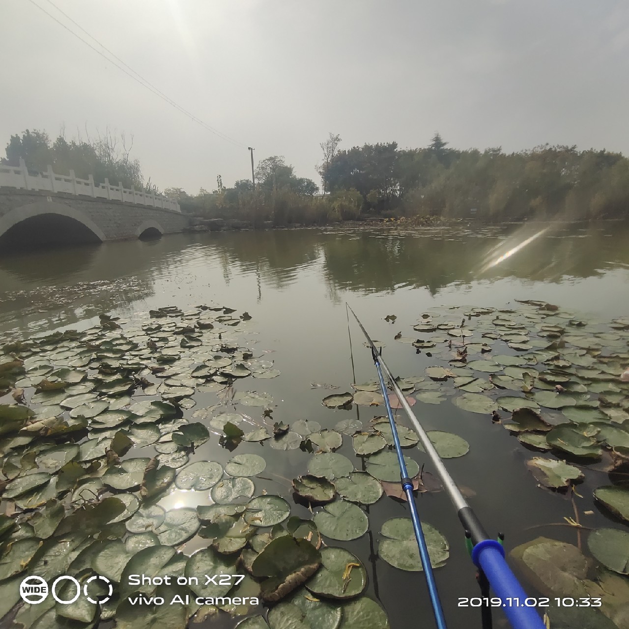 坚持就是胜利，收竿鱼喜获漂亮大板一尾