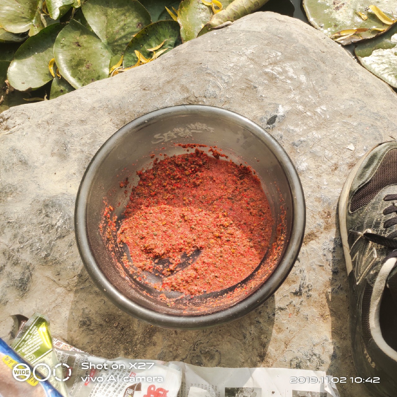 坚持就是胜利，收竿鱼喜获漂亮大板一尾