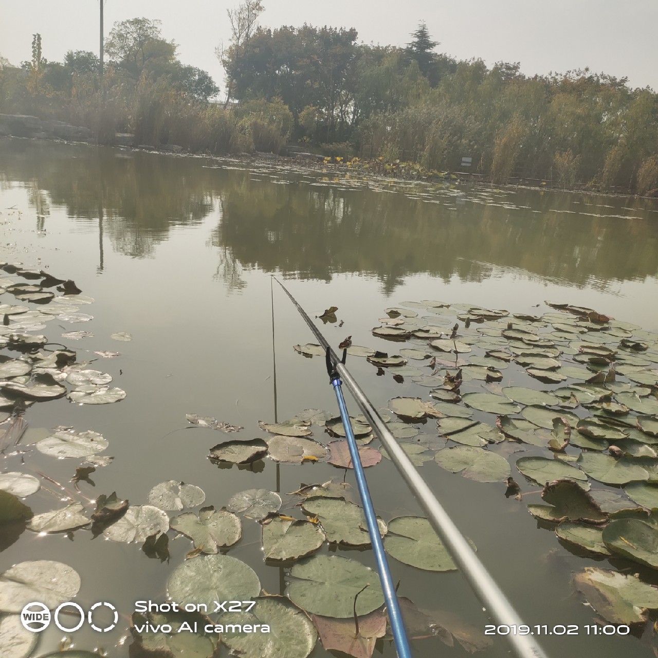 坚持就是胜利，收竿鱼喜获漂亮大板一尾