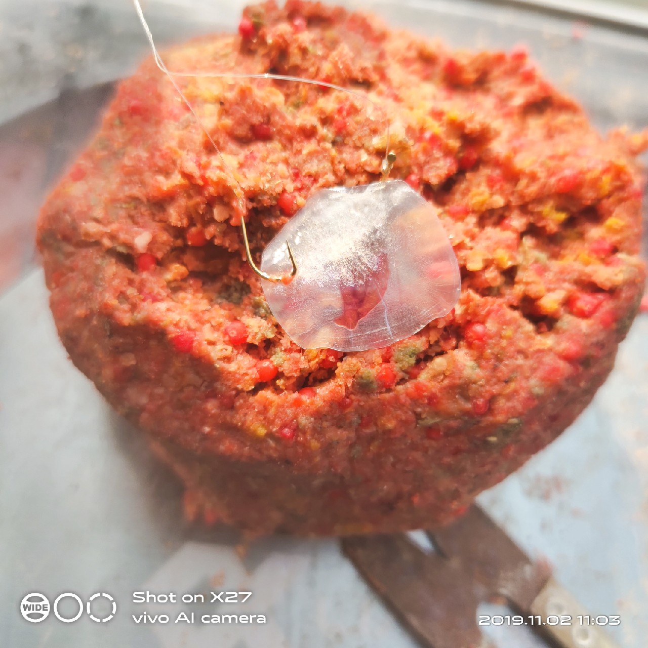 坚持就是胜利，收竿鱼喜获漂亮大板一尾