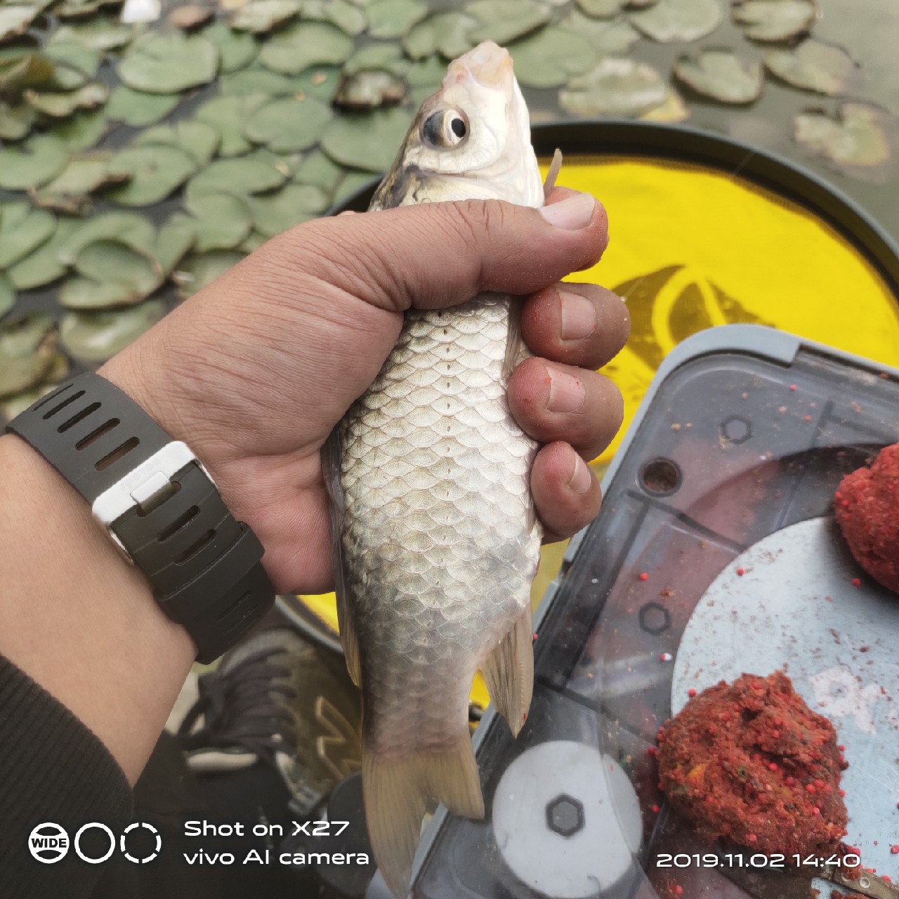 坚持就是胜利，收竿鱼喜获漂亮大板一尾