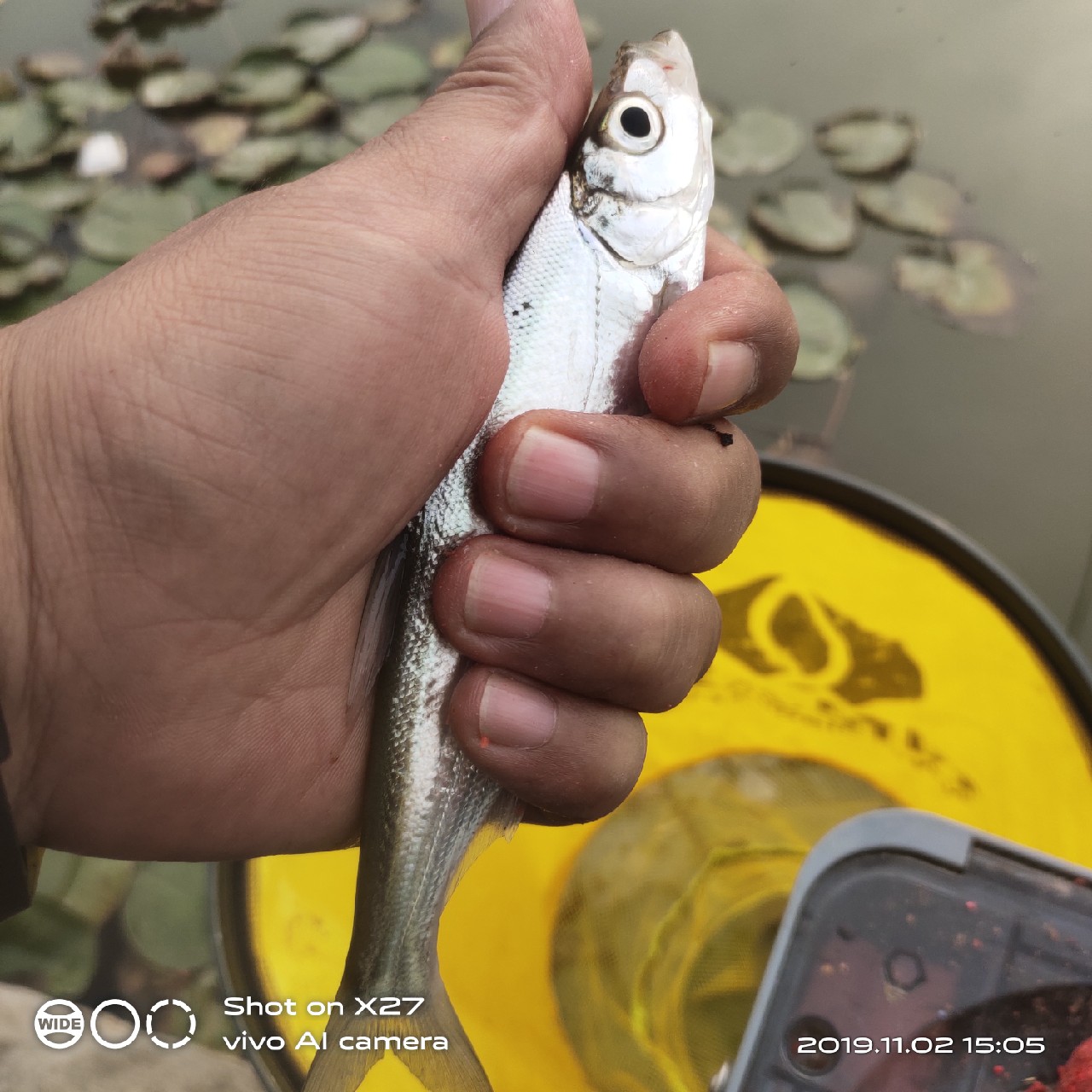 坚持就是胜利，收竿鱼喜获漂亮大板一尾