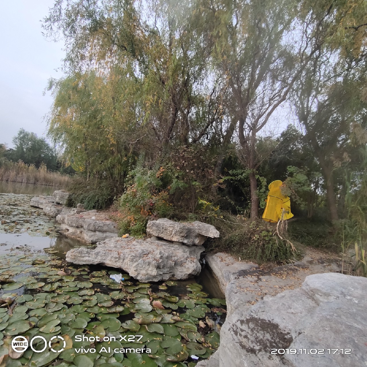 坚持就是胜利，收竿鱼喜获漂亮大板一尾