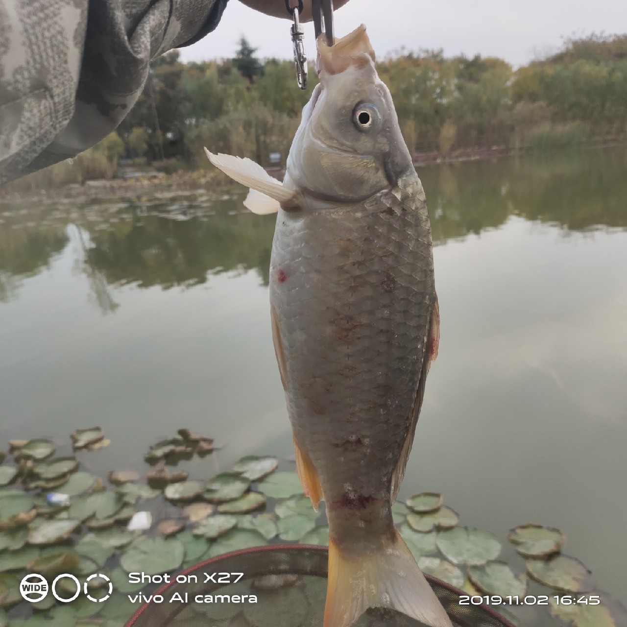 坚持就是胜利，收竿鱼喜获漂亮大板一尾