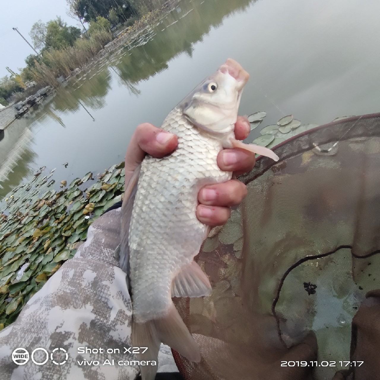 坚持就是胜利，收竿鱼喜获漂亮大板一尾