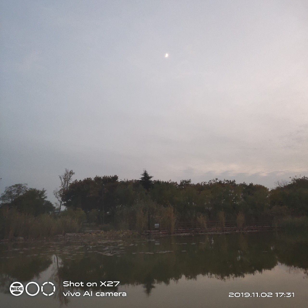 坚持就是胜利，收竿鱼喜获漂亮大板一尾