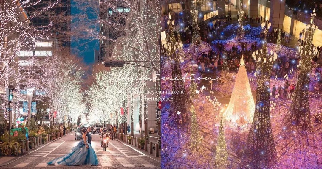 日本京都二条城灯光秀 (日本圣诞节灯光秀攻略)