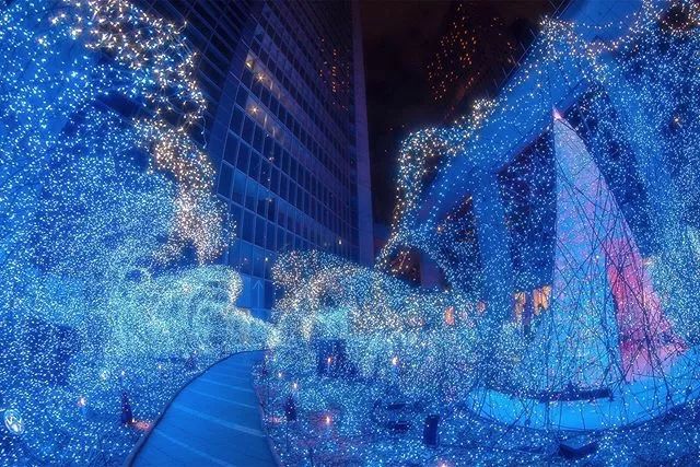 日本京都二条城灯光秀 (日本圣诞节灯光秀攻略)