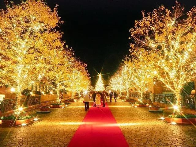 日本京都二条城灯光秀 (日本圣诞节灯光秀攻略)