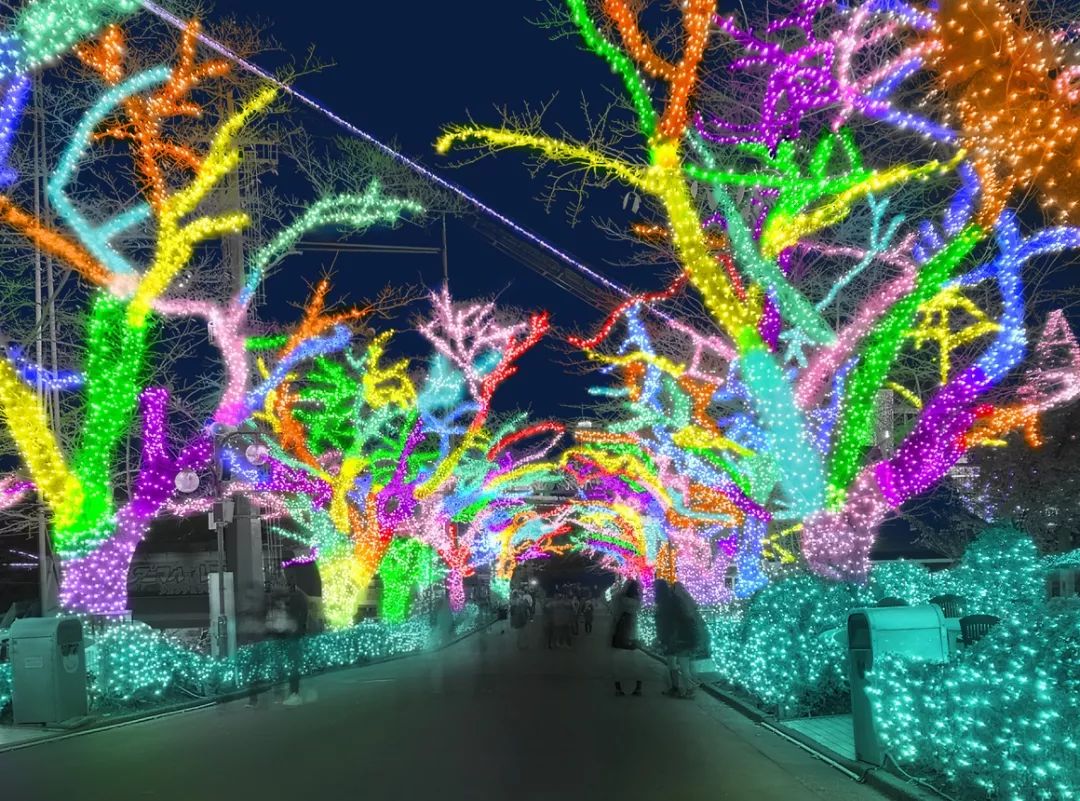 日本京都二条城灯光秀 (日本圣诞节灯光秀攻略)