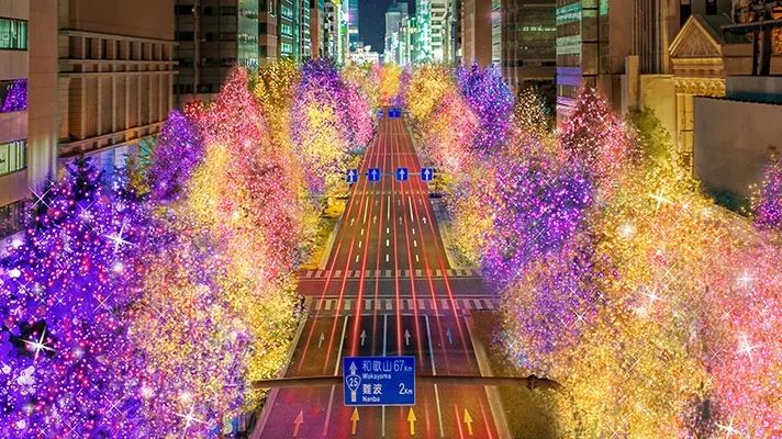 日本京都二条城灯光秀 (日本圣诞节灯光秀攻略)