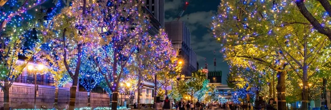 日本京都二条城灯光秀 (日本圣诞节灯光秀攻略)