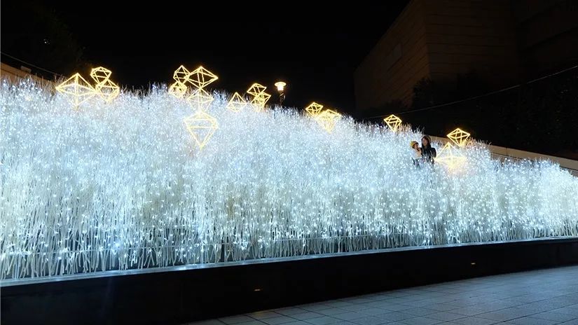 日本京都二条城灯光秀 (日本圣诞节灯光秀攻略)