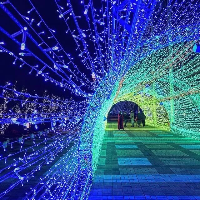 日本京都二条城灯光秀 (日本圣诞节灯光秀攻略)