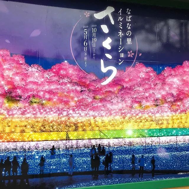 日本京都二条城灯光秀 (日本圣诞节灯光秀攻略)