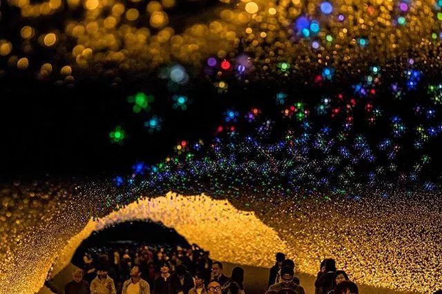 日本京都二条城灯光秀 (日本圣诞节灯光秀攻略)