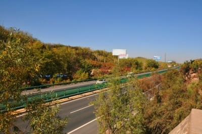 全国绿化奖章甘肃获得者,国土绿化模范单位荣誉称号