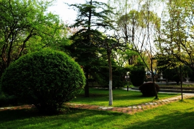 全国绿化奖章甘肃获得者,国土绿化模范单位荣誉称号