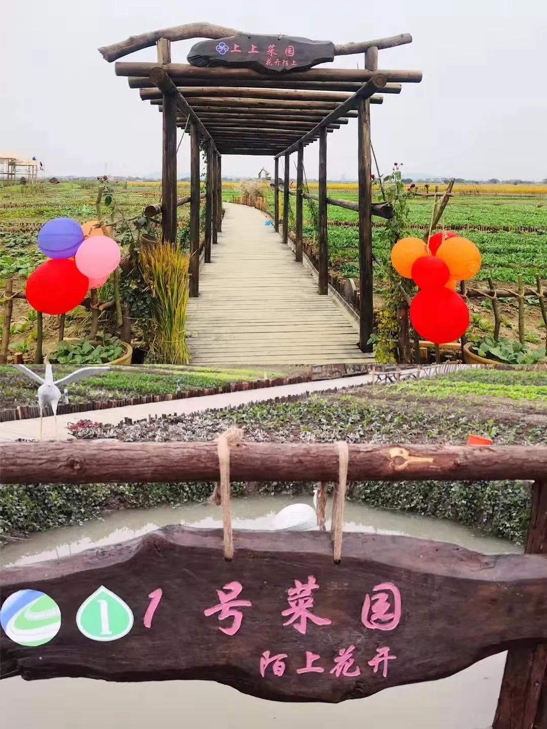 终于知道庆丰为什么火得不要不要的