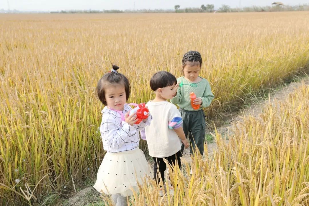 终于知道庆丰为什么火得不要不要的