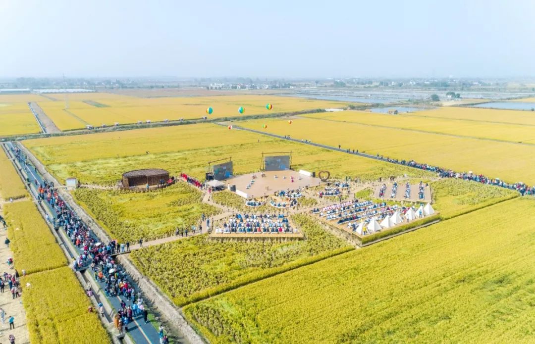 终于知道庆丰为什么火得不要不要的