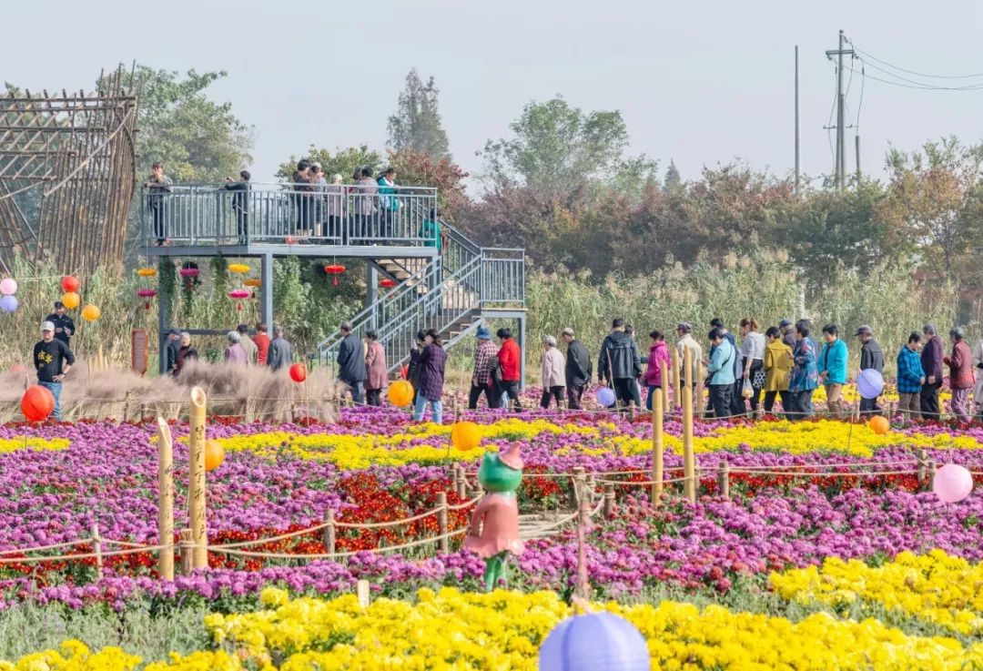 终于知道庆丰为什么火得不要不要的