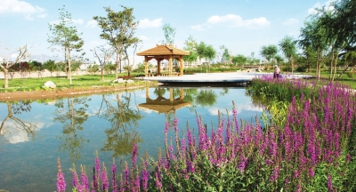 全国绿化奖章甘肃获得者,国土绿化模范单位荣誉称号