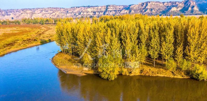 山西万荣汾河碧波,汾河岸边秋色美