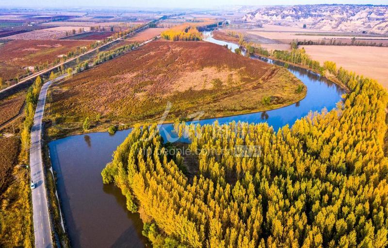 山西万荣汾河碧波,汾河岸边秋色美