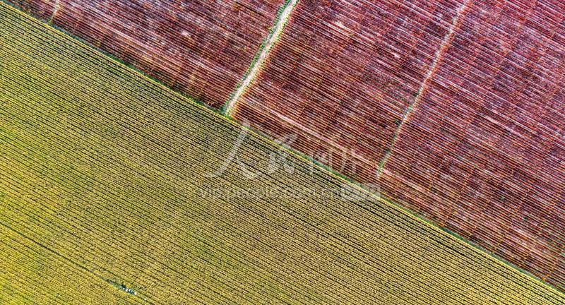 山西万荣汾河碧波,汾河岸边秋色美