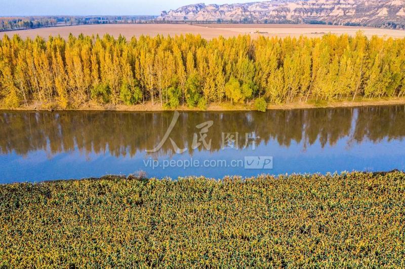 山西万荣汾河碧波,汾河岸边秋色美