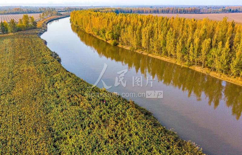 山西万荣汾河碧波,汾河岸边秋色美