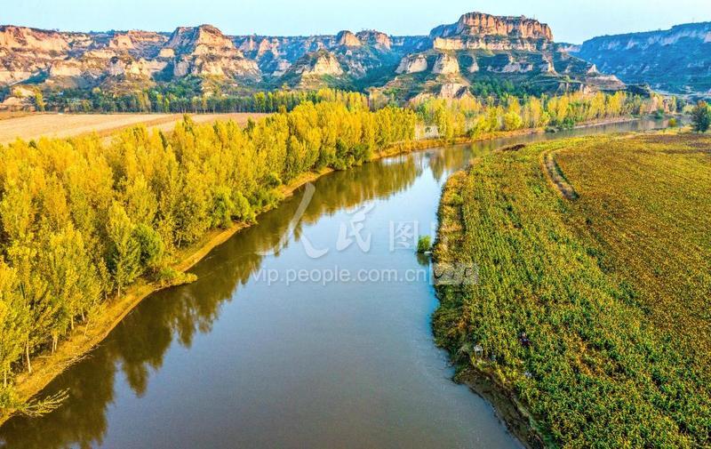 山西万荣汾河碧波,汾河岸边秋色美