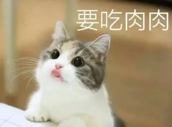 730吨,案值1500万元!大批*私走**冻肉被警方截获