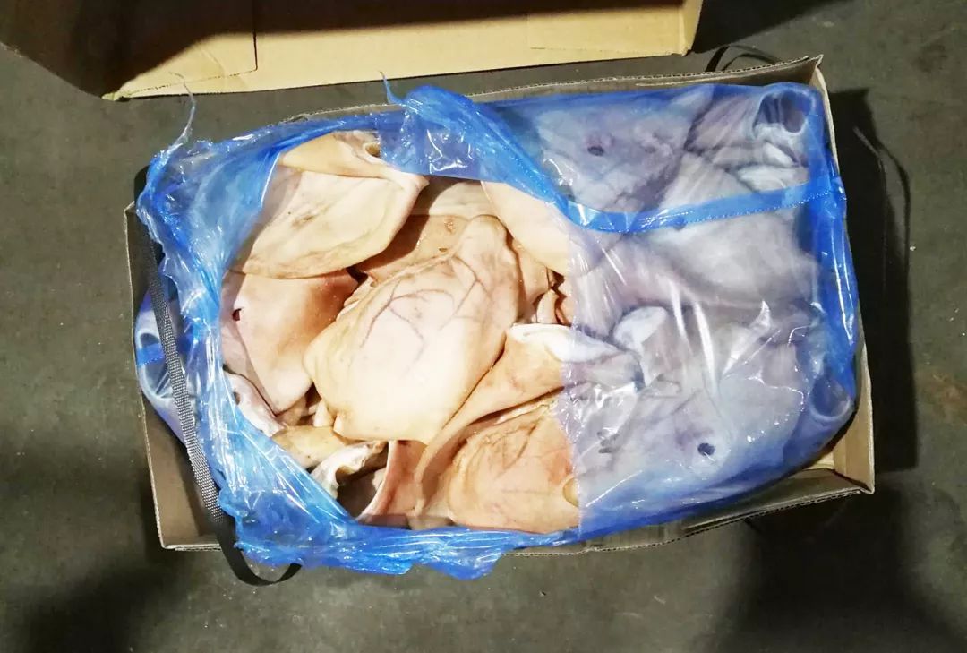 730吨,案值1500万元!大批*私走**冻肉被警方截获