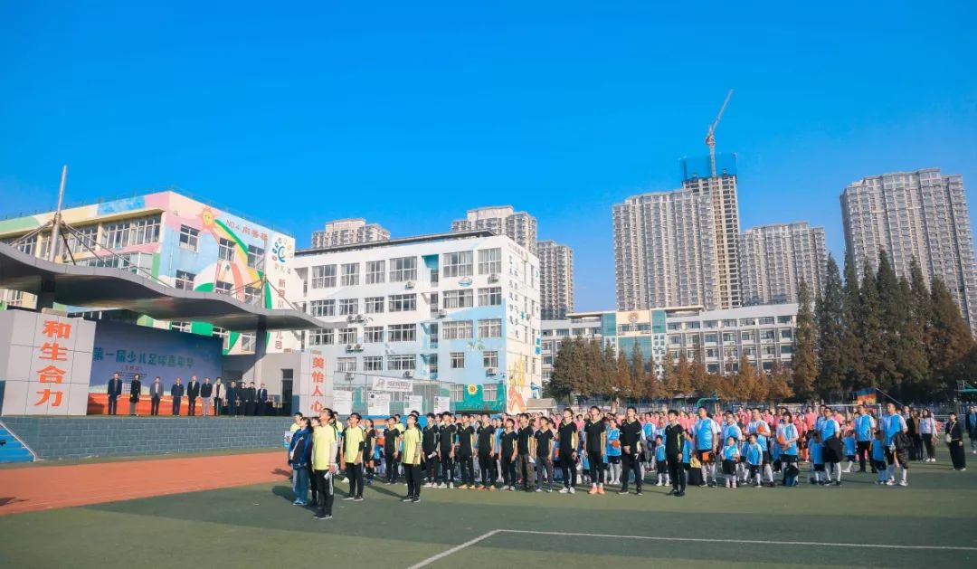 小小足球赛现场直播,小小足球冠军