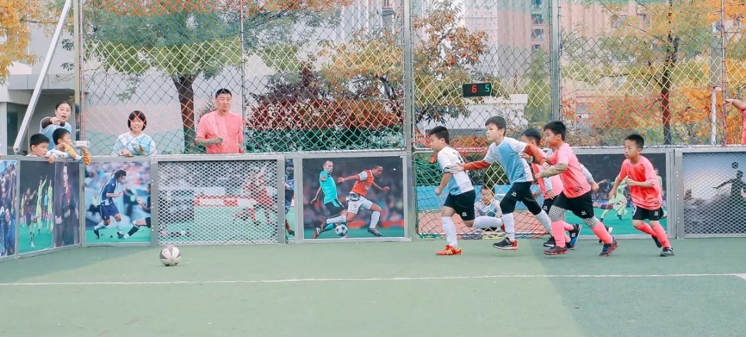 小小足球赛现场直播,小小足球冠军
